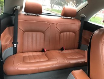 Volkswagen New Beetle 1.6AT 2009 - Bán Volkswagen New Beetle 1.6AT 2009, màu trắng