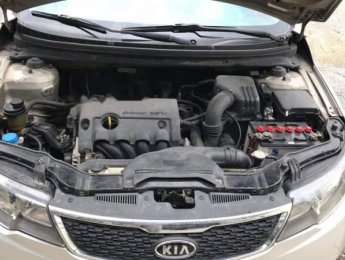 Kia Forte   2011 - Cần bán Kia Forte 2011, màu bạc, 7 chỗ