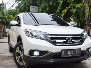 Honda CR V   2014 - Bán xe Honda CR V đời 2014, màu trắng, xe còn mới