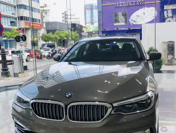 BMW 5 Series 2019 - BMW 5 Series 530i - Luxury, nhập khẩu nguyên chiếc từ Đức, xe chuẩn từ Châu Âu - giảm giá mạnh