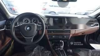 BMW 5 Series   520i 2016 - Cần bán xe BMW 520i năm 2016, màu trắng