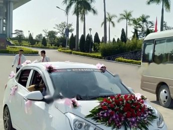Hyundai Grand i10 2017 - Bán Hyundai Grand i10 đời 2017, màu trắng, xe gia đình