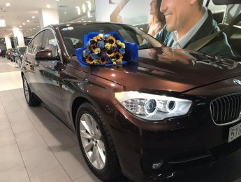 BMW 5 Series 2017 - Bán xe BMW 5 Series 2017, màu nâu, xe còn nguyên bản
