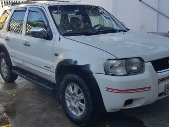 Ford Escape   2003 - Cần bán Ford Escape năm 2003, màu trắng, chính chủ, 195 triệu