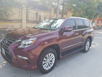 Lexus GX 2011 - Bán ô tô Lexus GX năm sản xuất 2011, màu đỏ, nhập khẩu nguyên chiếc chính chủ