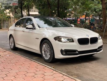 BMW 5 Series 2015 - Bán xe BMW 5 Series đời 2015, màu trắng, nhập khẩu