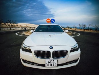 BMW 5 Series       2010 - Cần bán BMW 5 Series năm 2010, nhập khẩu