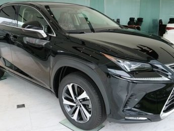 Lexus NX 300 2020 - Bán xe hạng sang - Chính hãng 100%: Lexus NX 300 sản xuất 2020, màu đen