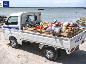 Suzuki Super Carry Pro 2021 - Xe tải 940 kg nhập khẩu