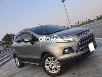 Ford EcoSport 2017 - Xe Ford EcoSport năm 2017, màu xám