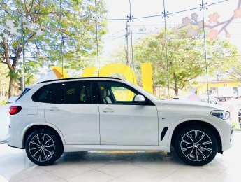 BMW X5 2022 - Xe siêu đẹp, nhập khẩu nguyên chiếc