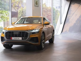 Audi Q8 2022 - Ưu đãi hấp dẫn, sẵn xe nhiều màu tại showroom
