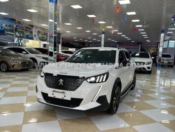 Peugeot 2008 2021 - Màu trắng