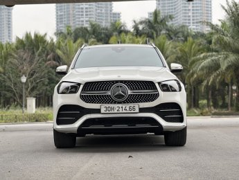 Mercedes-Benz GLE 450 2020 - Trắng, nội thất nâu