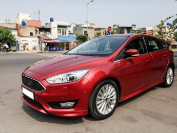 Ford Focus 2019 - 530 triệu