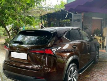 Lexus NX 300 2019 - Màu nâu