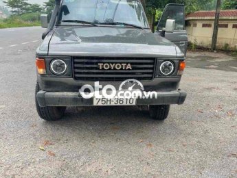 Toyota Land Cruiser can ban gap 1984 - can ban gap