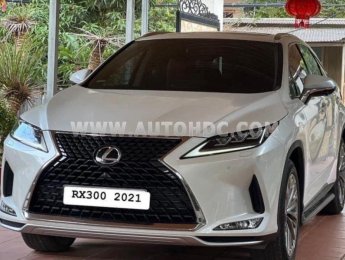 Lexus RX 300 2021 - Model 2022, bao check toàn quốc