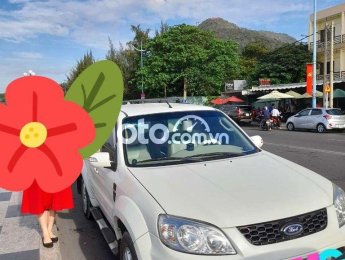 Ford Escape GĐ cần bán để định cư mỹ 2010 - GĐ cần bán để định cư mỹ