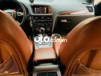 Audi A5  Q5 2010 2010 - Audi Q5 2010