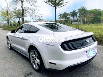 Ford Mustang   Premium Bản Kỉ Niệm 55 years 2020 - Ford Mustang Premium Bản Kỉ Niệm 55 years