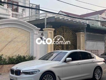 BMW 530i  530i dk 12/2020 2019 - bmw 530i dk 12/2020
