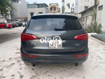 Audi A5  Q5 sx 2010 2010 - Audi Q5 sx 2010