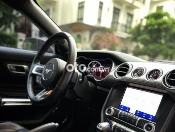 Ford Mustang   2.3 HighPerfomance 2020 2020 - Ford Mustang 2.3 HighPerfomance 2020