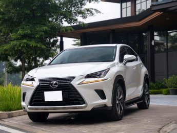 Lexus NX 300 2019 - Odo 6,6 vạn km