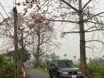 Suzuki Vitara 2005 - Chính chủ bán xe Vitara 2005